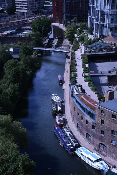 DSC_1687 (Large).JPG